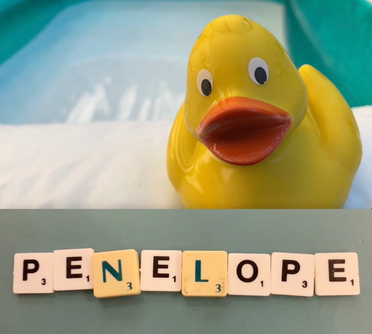 Residenza 20 Paola Fresa Penelope foto centrale.jpg